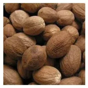 Jatiphala - Myristica fragrans