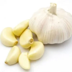 Rasona - Allium Sativum
