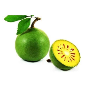 Bilva - Aegle  marmelos
