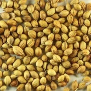 DHANYAKA (CORIANDER)