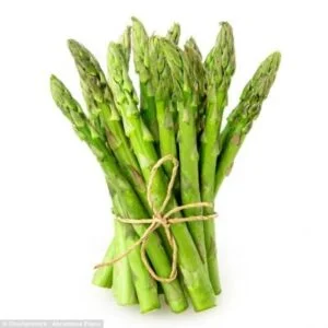 SHATAVARI (WILD ASPARAGUS)