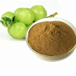 Amalaki - Emblica officinalis